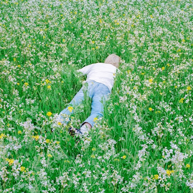 我写完那篇文章后的实况 Nurture (来自:Porter Robinson 专辑 | Spotify)
